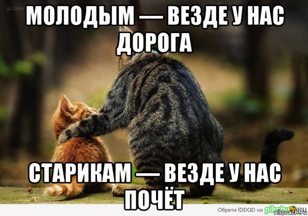 11215832_e3f4692f2029d32da44a641b66ca424